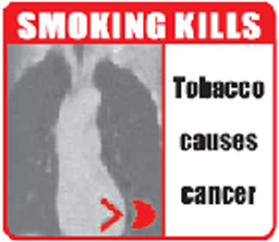 India 2008 Health Effects Lung - lung image